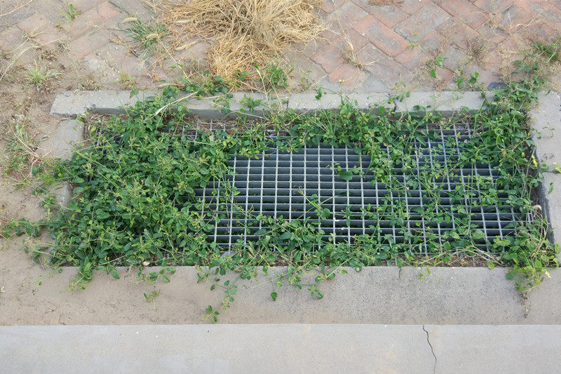 排水溝蓋板